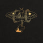 David Gray - Gold in a Brass Age - VINYL