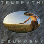 The Flaming Lips - Telepathic Surgery - VINYL