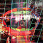 Animal Collective - Centipede HZ - VINYL