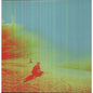 The Flaming Lips - The Terror - VINYL