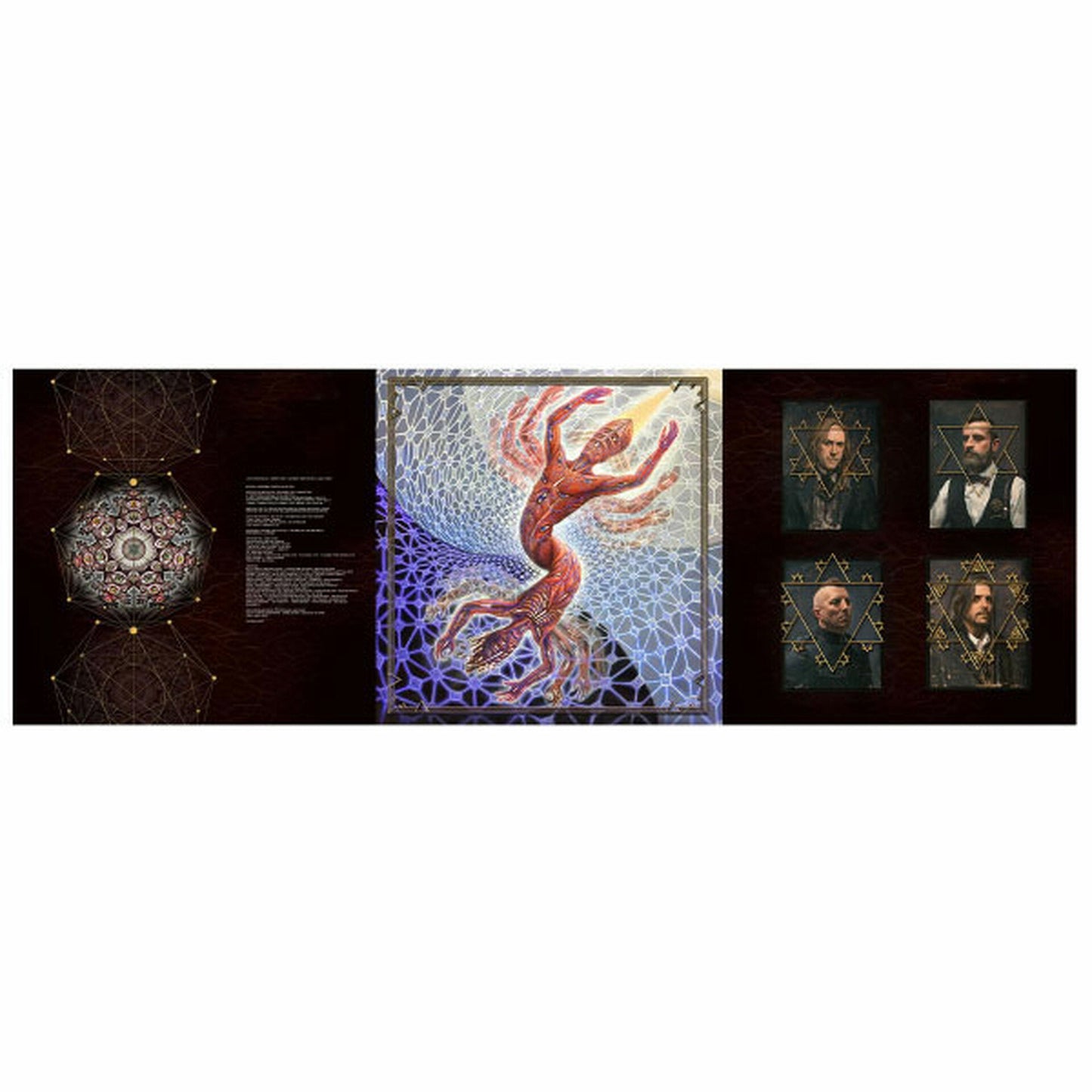 Tool - Fear Inoculum - VINYL