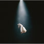 Ariana Grande - Eternal Sunshine: Deluxe Brighter Days Ahead - VINYL