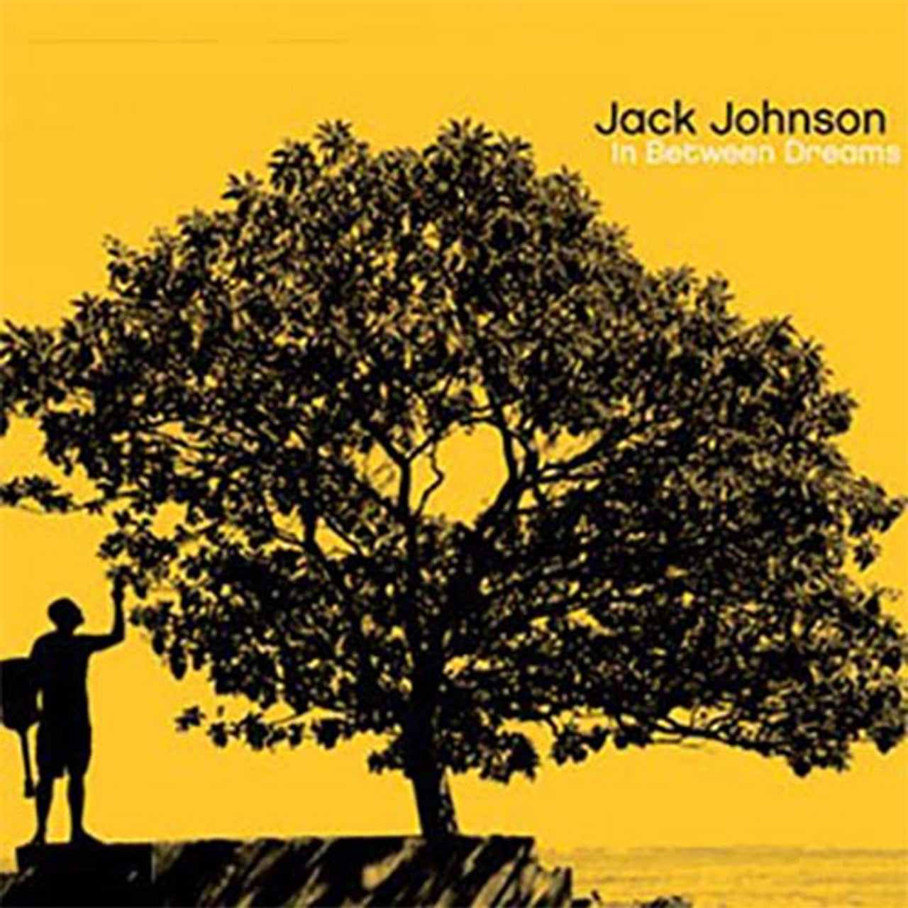 Jack Johnson - In Between Dreams (Limited Edition) - VINYL