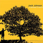 Jack Johnson - In Between Dreams (Limited Edition) - VINYL