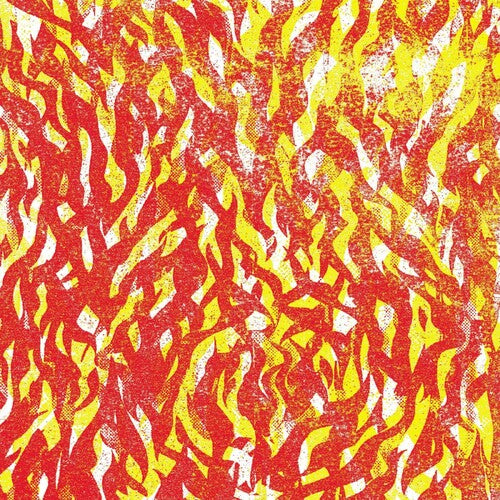 The Bug: Fire - VINYL