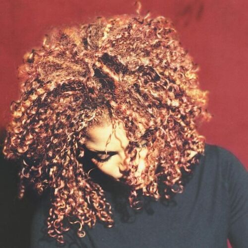 Janet Jackson - The Velvet Rope - VINYL