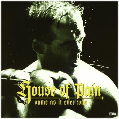 House of Pain - Same as It Ever Was (30th Anniversary) - VINYL & 7"